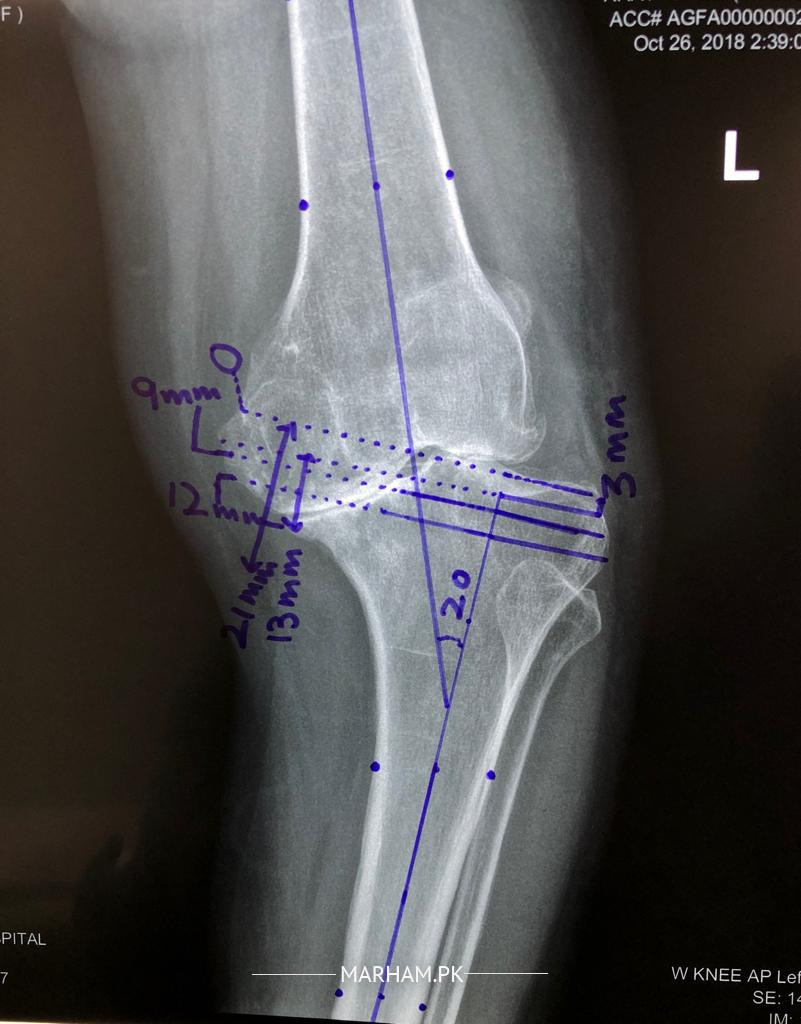 Gallery Image of Dr. Muhammad Humayun Hameed