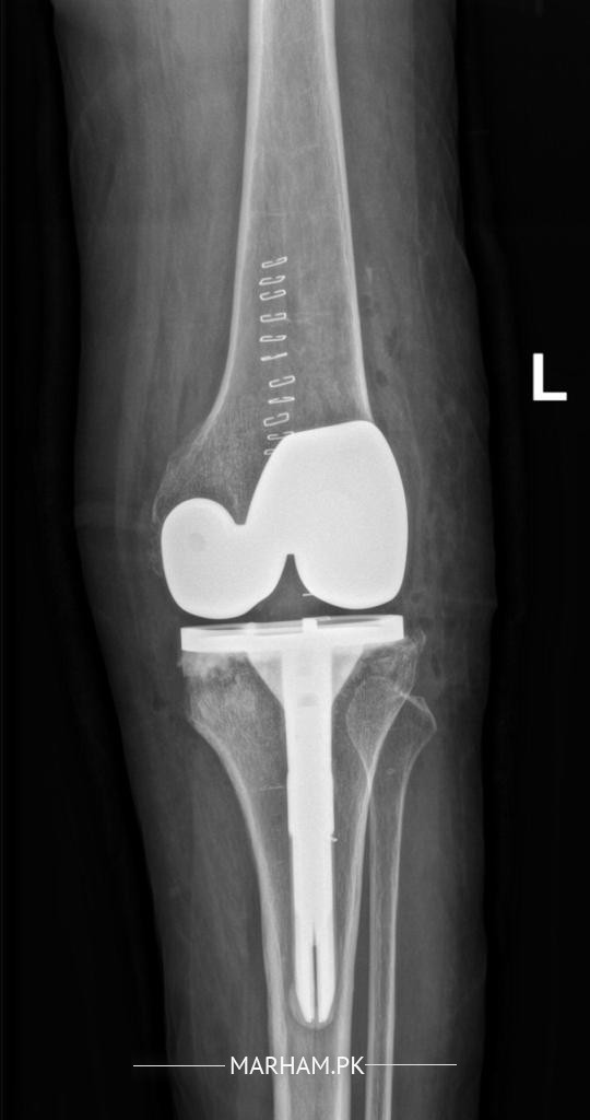 Gallery Image of Dr. Muhammad Humayun Hameed