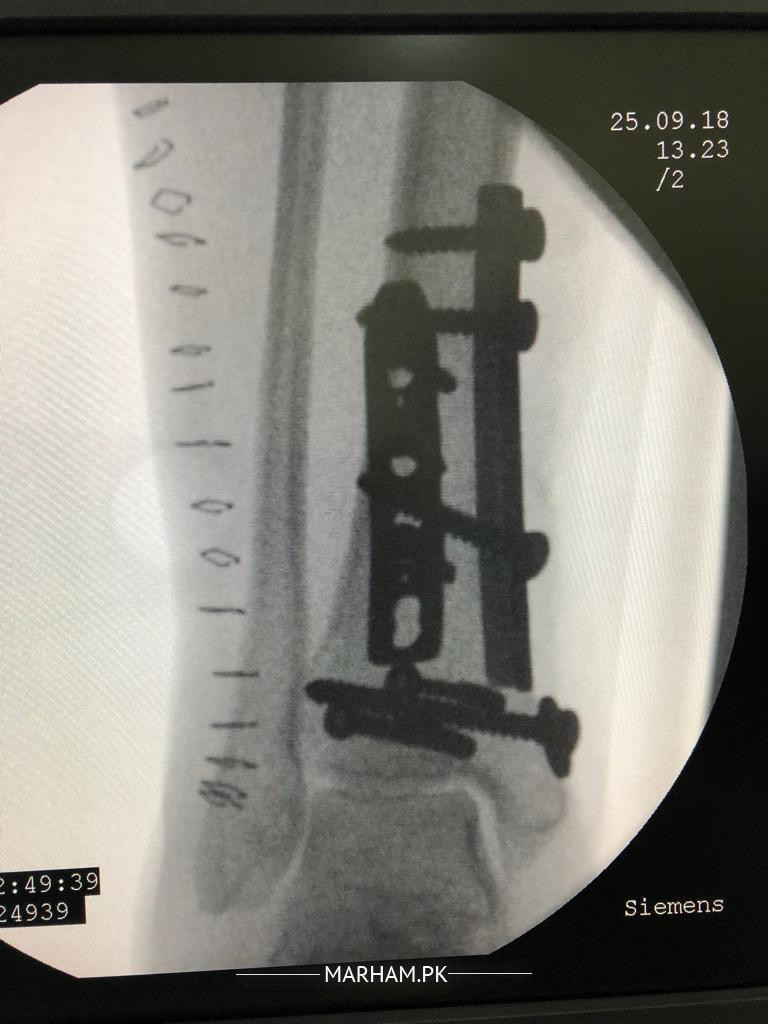 Gallery Image of Dr. Muhammad Humayun Hameed