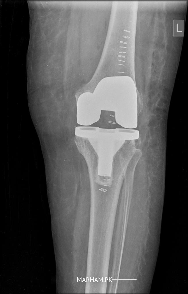 Gallery Image of Dr. Muhammad Humayun Hameed