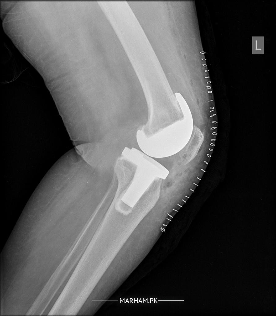 Gallery Image of Dr. Muhammad Humayun Hameed