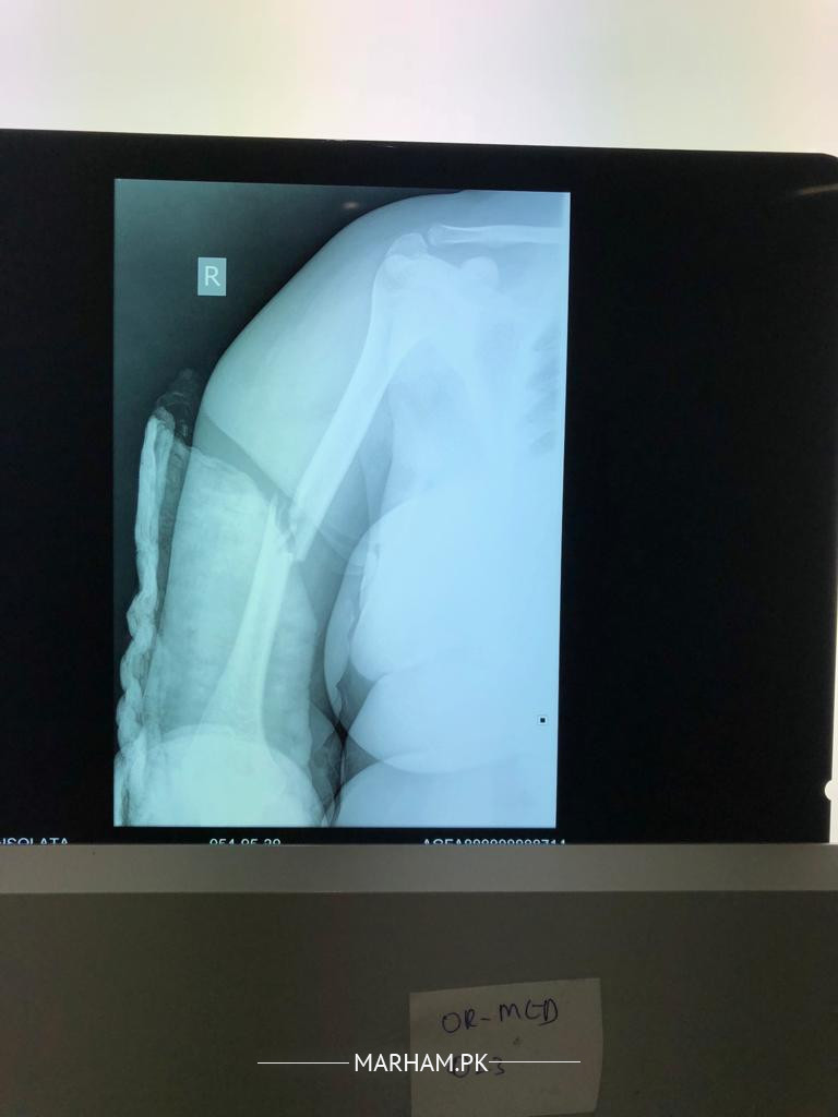 Gallery Image of Dr. Muhammad Humayun Hameed